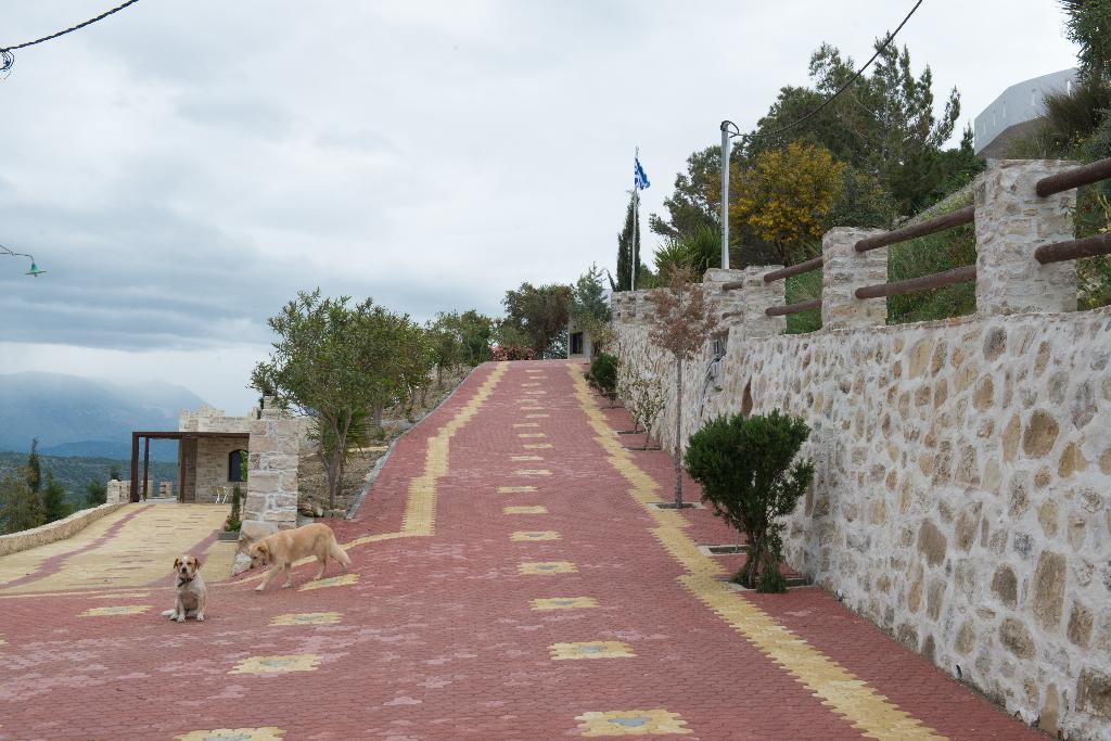Villas Alexandros Petrino Kalamaki  Rum bild